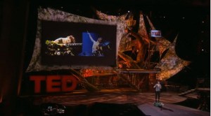 amanda palmer at TED