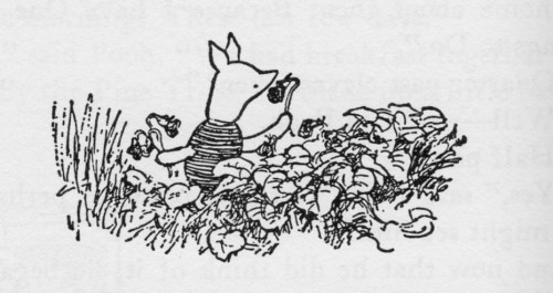 Piglet with Violets