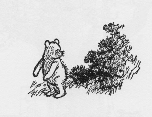 Pooh and the Gorse Bush