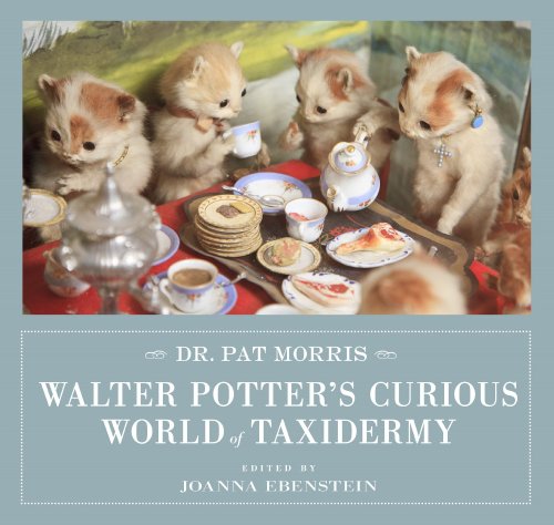 Walter Potters curious world of taxidermy book cover